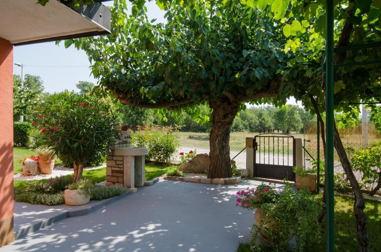 Villa Roza Umag Kültér fotó