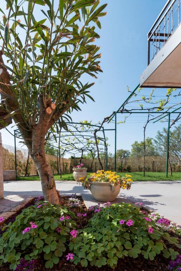 Villa Roza Umag Kültér fotó