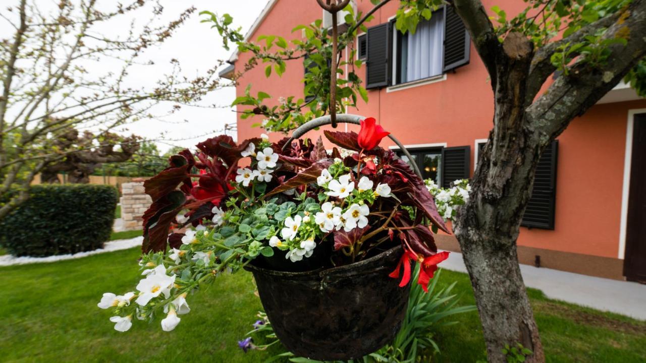 Villa Roza Umag Kültér fotó