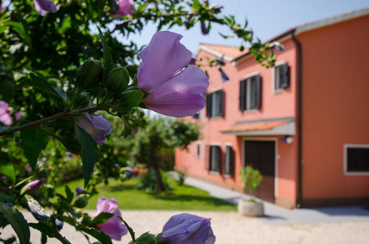 Villa Roza Umag Kültér fotó